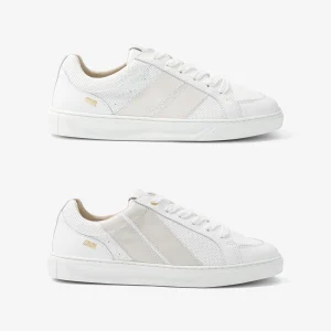 Light Glory - Archives