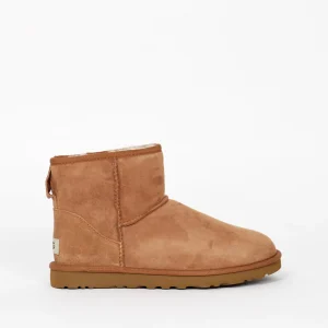 Botte Ugg Classic Mini Chestnut